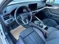 Audi A4 A4 Avant 30 TDI S-tronic **MATRIX**GARANTIE** Weiß - thumbnail 11