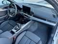 Audi A4 A4 Avant 30 TDI S-tronic **MATRIX**GARANTIE** Weiß - thumbnail 22