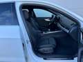 Audi A4 A4 Avant 30 TDI S-tronic **MATRIX**GARANTIE** Weiß - thumbnail 19