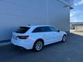 Audi A4 A4 Avant 30 TDI S-tronic **MATRIX**GARANTIE** Weiß - thumbnail 17