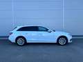 Audi A4 A4 Avant 30 TDI S-tronic **MATRIX**GARANTIE** Weiß - thumbnail 16
