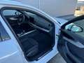 Audi A4 A4 Avant 30 TDI S-tronic **MATRIX**GARANTIE** Weiß - thumbnail 21