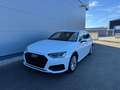 Audi A4 A4 Avant 30 TDI S-tronic **MATRIX**GARANTIE** Weiß - thumbnail 1
