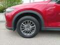 Mazda CX-5 L SKYACTIV-G 160 AWD 5T 6AG AL-EXCLUSIVE NAV ACT-P Red - thumbnail 9