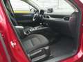 Mazda CX-5 L SKYACTIV-G 160 AWD 5T 6AG AL-EXCLUSIVE NAV ACT-P Red - thumbnail 7