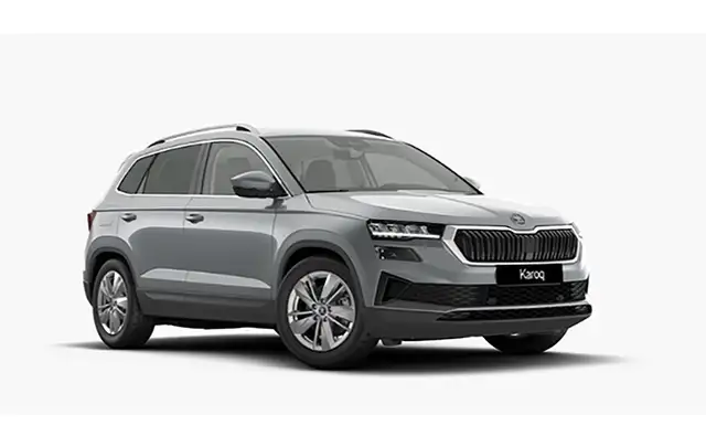 Skoda Karoq main image