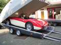 Brian James Race Shuttle 2, 300-1011, 4300 x 1950 mm, 2,6 to. Weiß - thumbnail 4