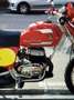 Bultaco Frontera Red - thumbnail 3