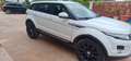 Land Rover Range Rover Evoque 2.2L TD4 Pure 4x4 Aut. - thumbnail 2