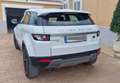 Land Rover Range Rover Evoque 2.2L TD4 Pure 4x4 Aut. - thumbnail 3