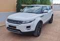 Land Rover Range Rover Evoque 2.2L TD4 Pure 4x4 Aut. - thumbnail 5