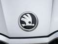 Skoda Fabia 1.0 TSI Selection DSG 85kW Blanco - thumbnail 23