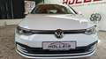 Volkswagen Golf VIII 2,0TDI Differentialsperre(XDS)Tausch mög Weiß - thumbnail 2