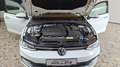 Volkswagen Golf VIII 2,0TDI Differentialsperre(XDS)Tausch mög Weiß - thumbnail 25