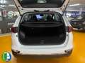 Kia Sportage 1.6 MHEV Drive 100 kW (136 CV) 4x2 Wit - thumbnail 19