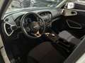 Kia Soul Edition 7 Bi-LED ACC R.Cam Spurassist. Weiß - thumbnail 5