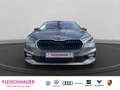 Skoda Fabia Tour 1.5 TSI LED Apple CarPlay Android Auto Mehrzo Grau - thumbnail 2