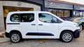 Citroen Berlingo Combi BlueHDi S&S Talla M Live Pack Busin Blanco - thumbnail 11