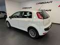 Fiat Punto Evo Punto Evo 5p 1.3 mjt 75cv NEOPATENTATI Bianco - thumbnail 5
