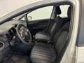 Fiat Punto Evo Punto Evo 5p 1.3 mjt 75cv NEOPATENTATI Bianco - thumbnail 8