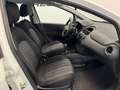 Fiat Punto Evo Punto Evo 5p 1.3 mjt 75cv NEOPATENTATI Bianco - thumbnail 12