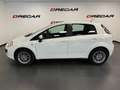 Fiat Punto Evo Punto Evo 5p 1.3 mjt 75cv NEOPATENTATI Bianco - thumbnail 6