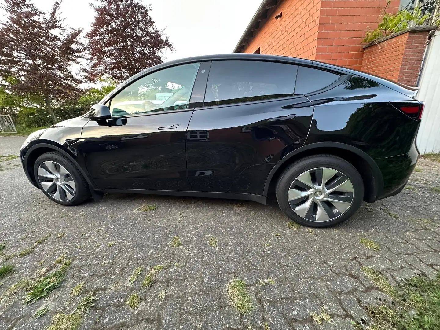 Tesla Model Y Model Y RWD - 2