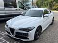 Alfa Romeo Giulia Super Weiß - thumbnail 3