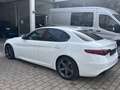 Alfa Romeo Giulia Super Weiß - thumbnail 5