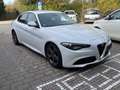 Alfa Romeo Giulia Super Weiß - thumbnail 10