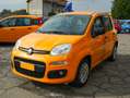Fiat Panda Panda 1.2 69cv Easy Arancione - thumbnail 3