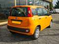 Fiat Panda Panda 1.2 69cv Easy Arancione - thumbnail 5