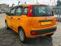 Fiat Panda Panda 1.2 69cv Easy Arancione - thumbnail 6