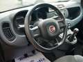 Fiat Panda Panda 1.2 69cv Easy Arancione - thumbnail 9