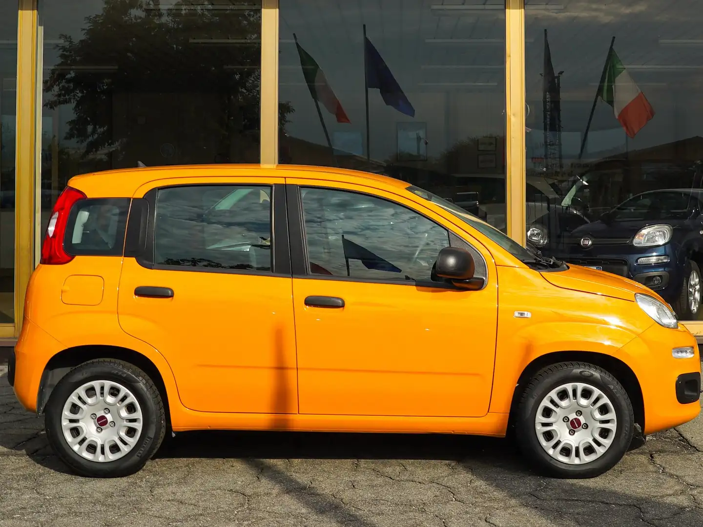 Fiat Panda Panda 1.2 69cv Easy Arancione - 2