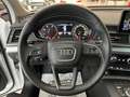 Audi Q5 Q5 35 2.0 tdi Business quattro 163cv s-tronic Blanc - thumbnail 14
