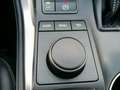 Lexus NX 300 300h Luxury 4WD Wit - thumbnail 31