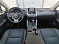 Lexus NX 300 300h Luxury 4WD Blanco - thumbnail 18