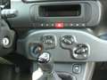 Fiat Panda 1.0 FireFly S&S Hybrid Pandina Noir - thumbnail 14