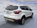 Ford Kuga 2.0 TDCI 150 CV S&S 4WD Powershift Business Weiß - thumbnail 4
