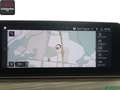 BMW 530 530 i M SPORT LENKRAD STANDHEIZ,HUD,H/K,360GRAD Gris - thumbnail 26
