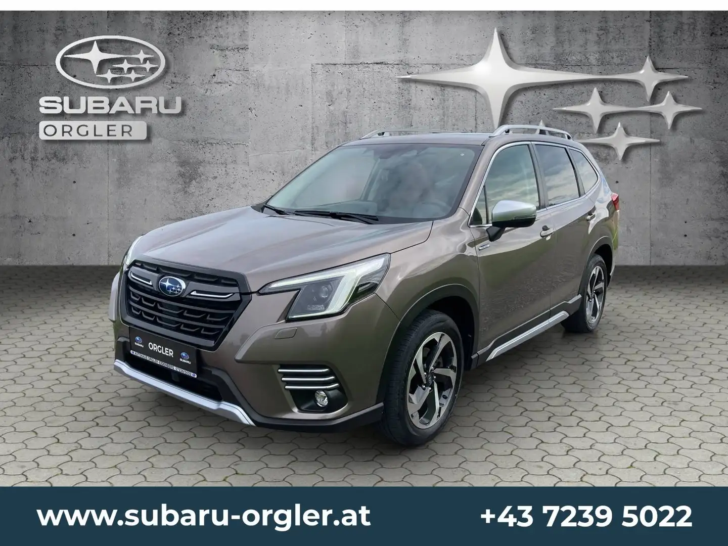 Subaru Forester Forester 2,0i e-Boxer Premium AWD Braun - 1