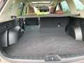 Subaru Forester Forester 2,0i e-Boxer Premium AWD Braun - thumbnail 13