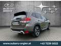 Subaru Forester Forester 2,0i e-Boxer Premium AWD Braun - thumbnail 6