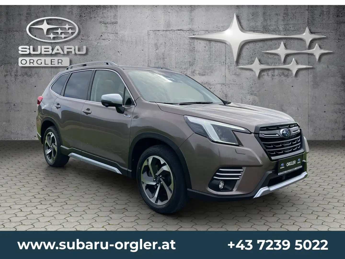 Subaru Forester Forester 2,0i e-Boxer Premium AWD Braun - 2
