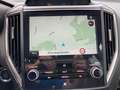 Subaru Forester Forester 2,0i e-Boxer Premium AWD Braun - thumbnail 24