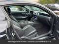 Ford Mustang GT Pack Shelby Tout compris hors homologation 4500 Noir - thumbnail 6