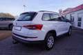 Skoda Kodiaq 1.4 TSI Klima AHK Tempomat Weiß - thumbnail 5