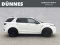 Land Rover Discovery Sport D200 R-Dynamic S Weiß - thumbnail 6