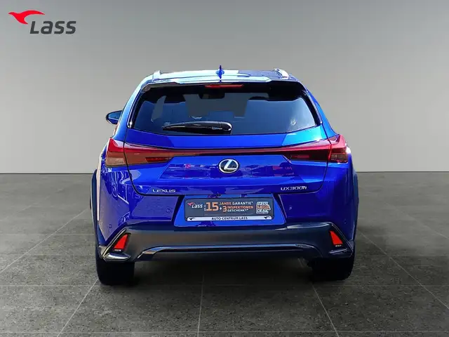 Lexus Ux 300h view 5